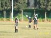 thumb_100_5529.jpg